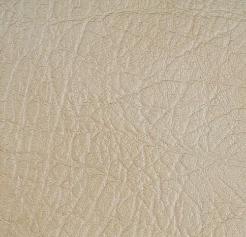 Palma 004 300034
