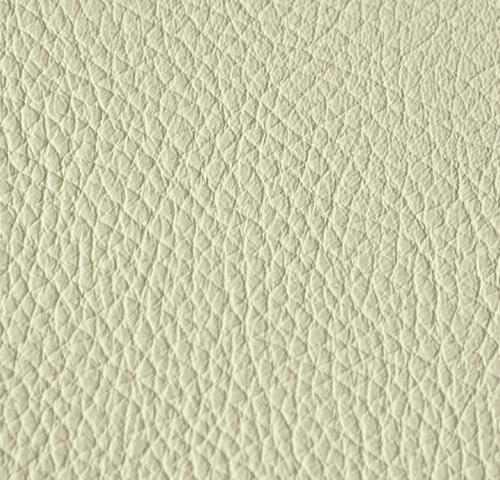 Palma citrus 300051
